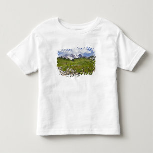 Edith Creek and wildflower meadows at Paradise Toddler T-shirt
