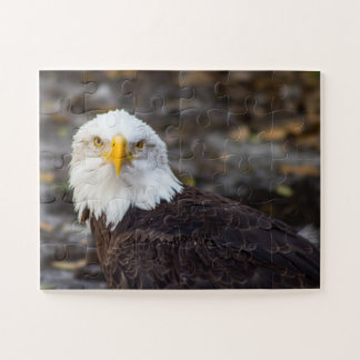 Édition pour enfants American Eagle Jigsaw Puzzle
