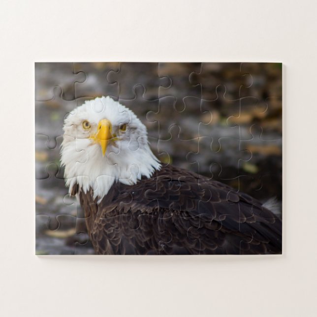 Édition pour enfants American Eagle Jigsaw Puzzle (Horizontal)