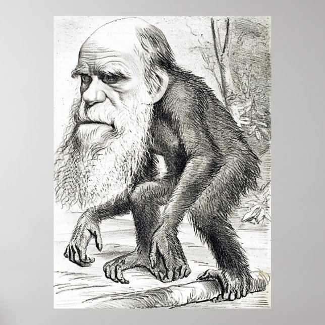 Editorial Cartoon Of Charles Darwin 1871 Poster (Front)
