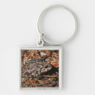 edmonton, alberta, canada 3 keychain