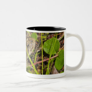edmonton, alberta, canada Two-Tone coffee mug