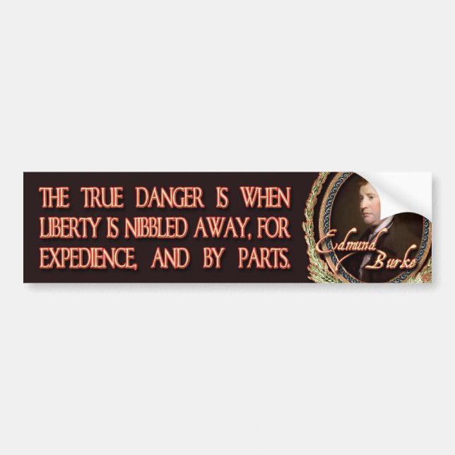 Edmund Burke Quote: Evil Triumphs Bumper Sticker (Front)