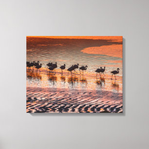 Eduardo Abaroa Andean Fauna National Reserve Canvas Print