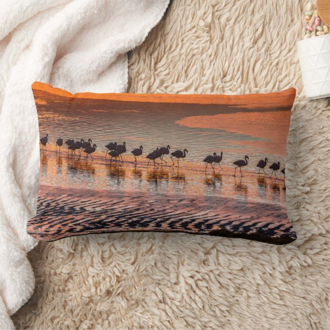 Eduardo Abaroa Andean Fauna National Reserve Lumbar Pillow (Blanket)
