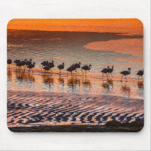 Eduardo Abaroa Andean Fauna National Reserve Mouse Pad