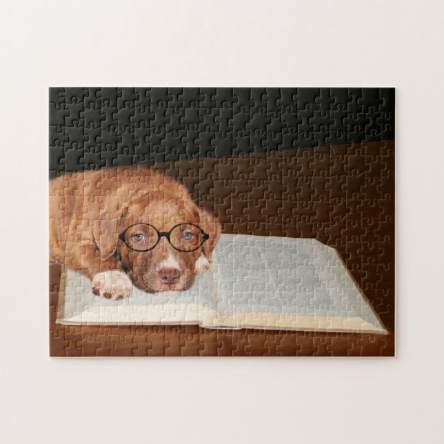 Educated Pitbull Terrier Jigsaw Puzzle (Horizontal)