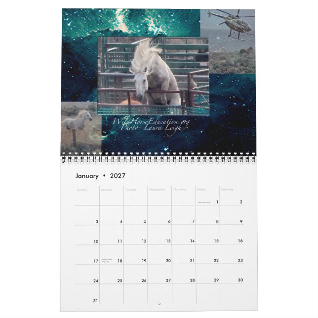 Éducation de cheval sauvage… un calendrier (Jan 2027)