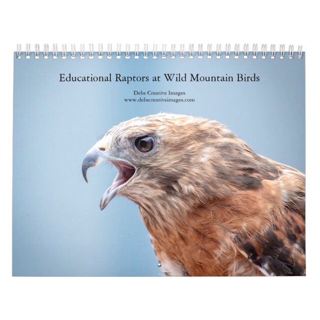 Educational Birds at Wild Mountain Birds 2026 Calendar (Cover)