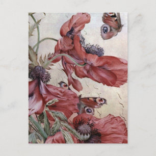 Edward Julius Detmold Poppies And Butterflies Postcard