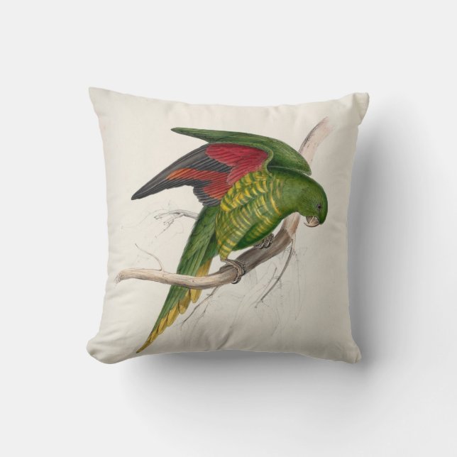 Edward Lear #9-Maton's parrakeet Throw Pillow (Front)