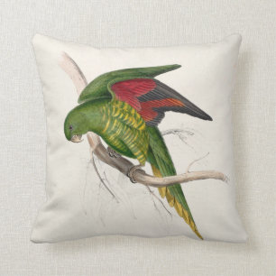 Edward Lear #9-Maton's parrakeet Throw Pillow