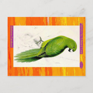 Edward Lear. Uniform Parakeet. Postcard