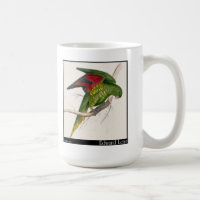 Edward Lear's Maton’s Parakeet
