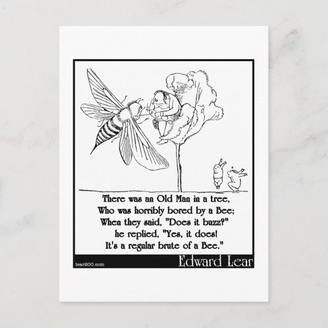 Edward Lear's Old Man in a tree Limerick Postcard (Front)