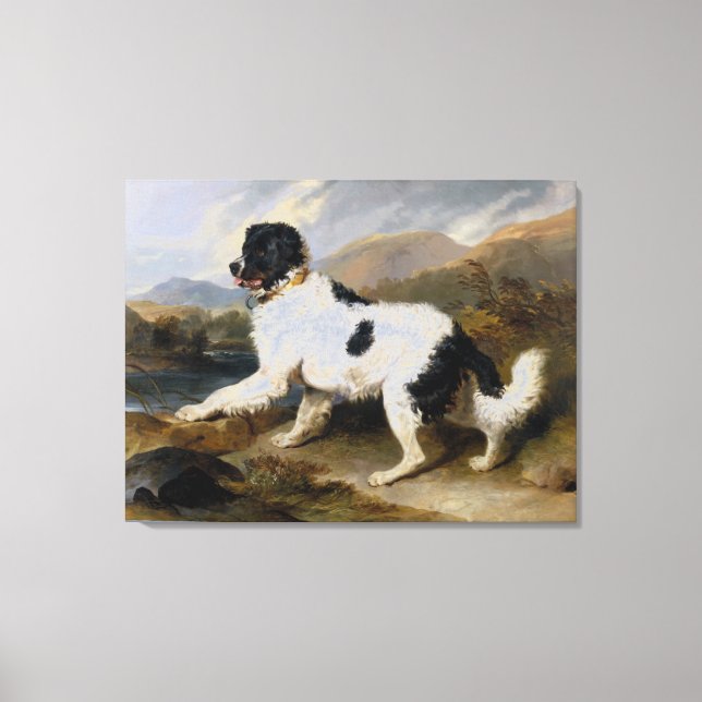Edwin Henry Landseer Lion A Newfoundland Dog Canvas Print (Front)