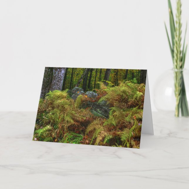 ee cummings prayer - Ferns and Stones Thank You Card (Front)