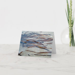 Eel Grass Seaweed Note Card