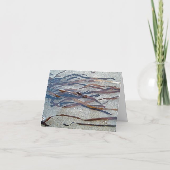 Eel Grass Seaweed Note Card (Front)