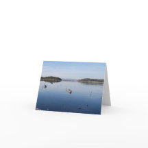 Eel Lake, Gruissan