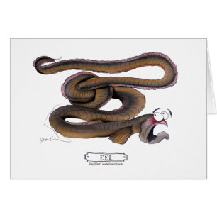 Eel, tony fernandes