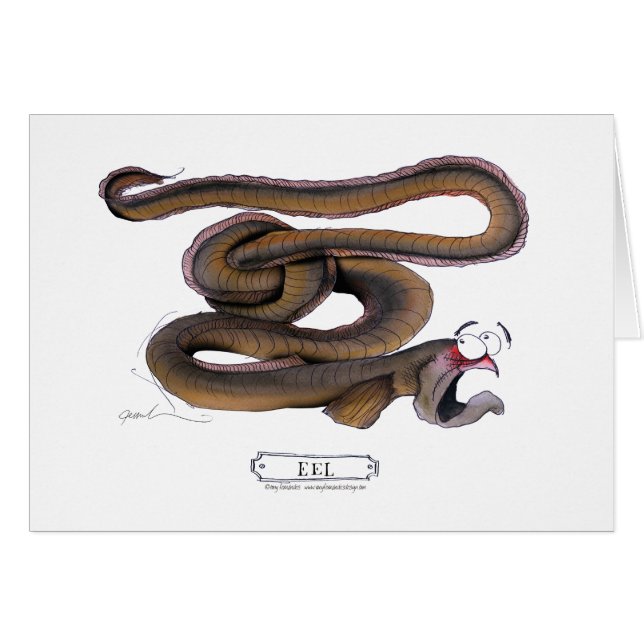 Eel, tony fernandes (Front Horizontal)