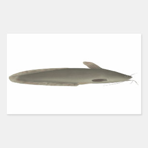 Eeltail Catfish Sticker