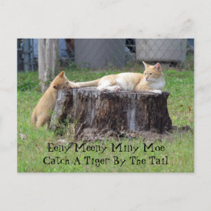Eeny Meeny Miney Moe ... Postcard