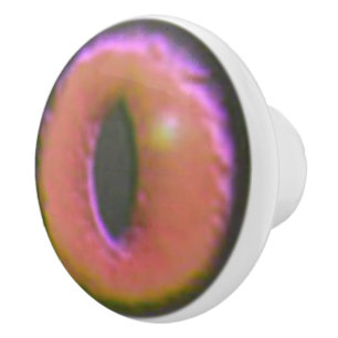 Eerie Cat Eyeball Ceramic Knob