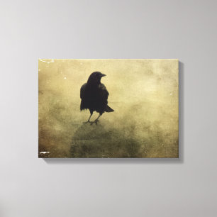 Eerie Crow In Fog Canvas Print