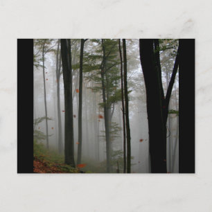 EERIE FOREST TREES LEAVES FULL FALL COLORS POSTCARD