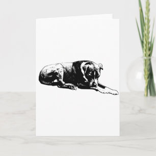 Effacer la carte de chien de regard