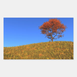 Effacer les autocollants du jour d'automne