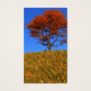 Effacer les Signets de la journée d'automne