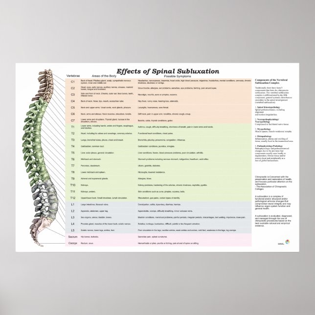 Effects of Spinal Subluxation Poster Chiropractic (Front)