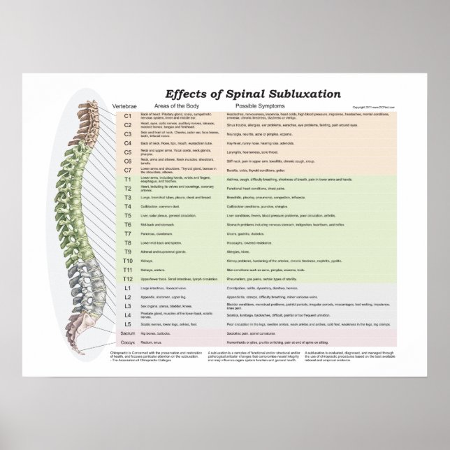 Effects of Spinal Subluxation Poster Chiropractic (Front)