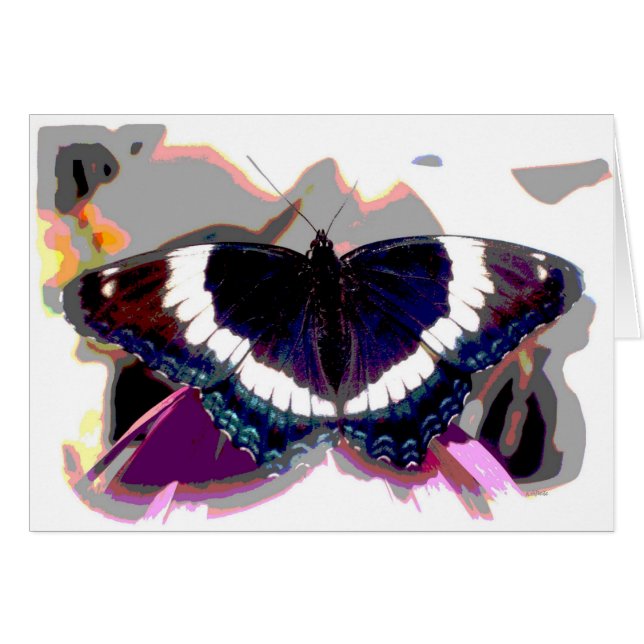Effet papillon (Devant horizontal)