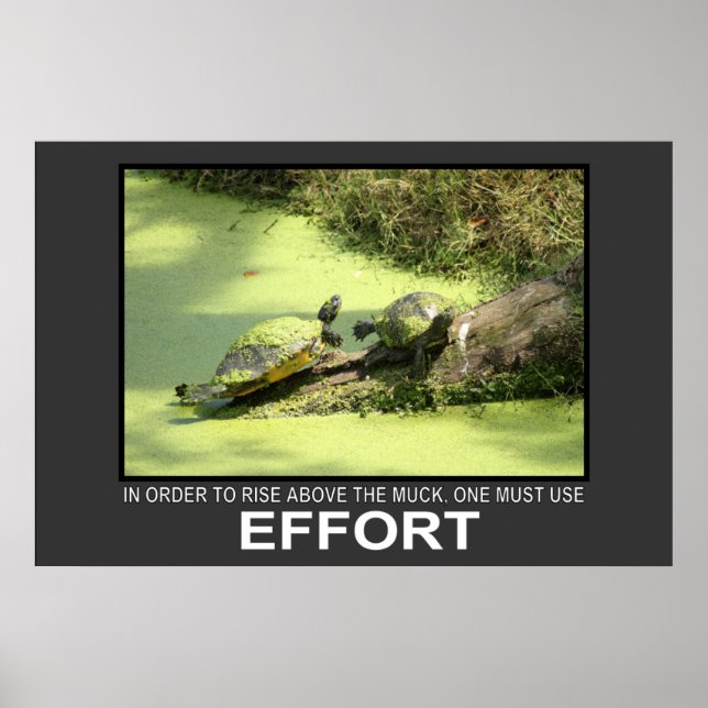 Effort Poster (Front)