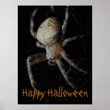 Éffrayant Spider Web - Poster d'Halloween