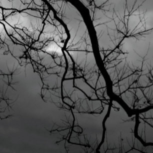 ÉFFRAYANTS ARBRES HEUREUX HALLOWEEN PLIÉ Carte de 