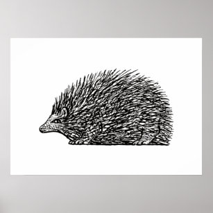 Egel (Hedgehog) by Dutch Leo Gestel Poster
