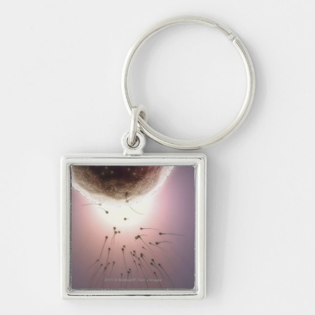 Egg being fertilized by sperm keychain (Front)