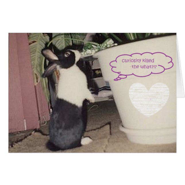 egg by peacewillow (Front Horizontal)