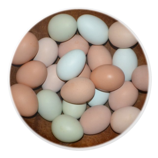 Egg Ceramic Knob (Front)