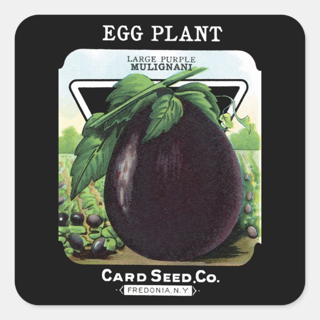Egg Plant Seed Packet Label (Front)