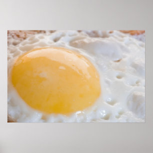 Egg Poster