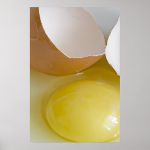 Egg Poster