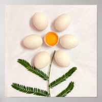 Egg Yolk Flower