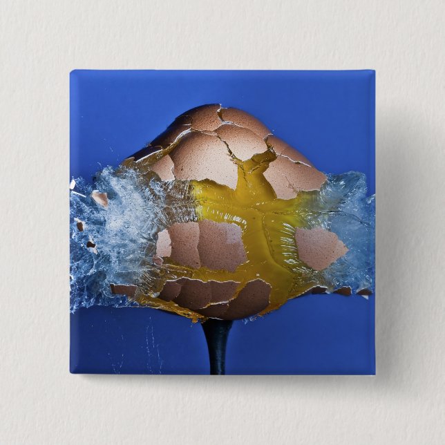 Eggceptional 2 Inch Square Button (Front)