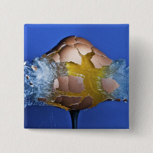 Eggceptional 2 Inch Square Button